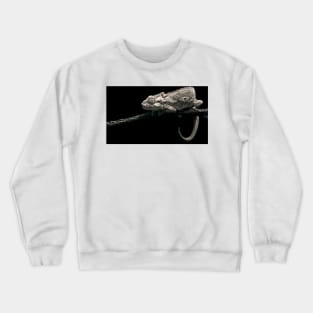 Watched Crewneck Sweatshirt